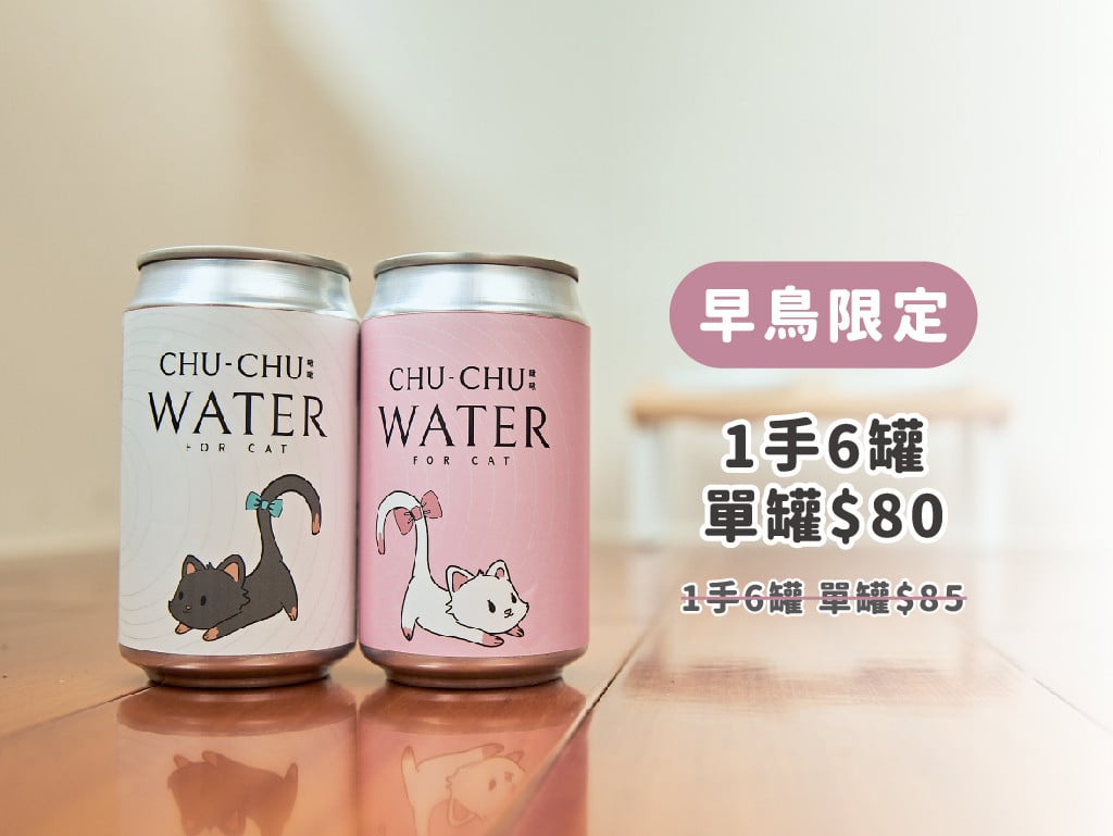 CHUCHU啾啾貓咪專門飲用水┃讓您的貓貓愛上喝水｜flyingV