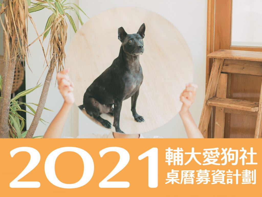 2021 輔大愛狗社桌曆募資計劃