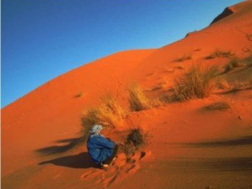 守護小王子的撒哈拉－－在公益旅行中，採集沙漠與人的故事