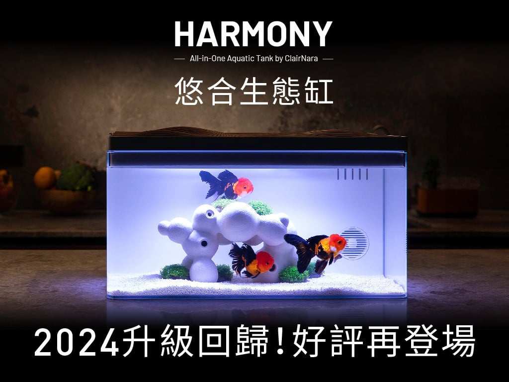 Harmony 悠合生態缸｜2024好評回歸！質感養魚再升級