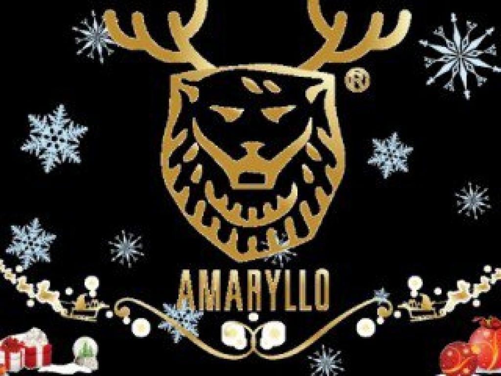 最棒的禮物-Amaryllo iCam HD 聖誕特飾版
