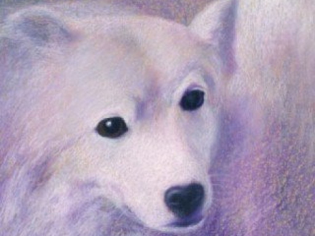 「狐狸與我」--關於動物、關於生命的圖文繪本