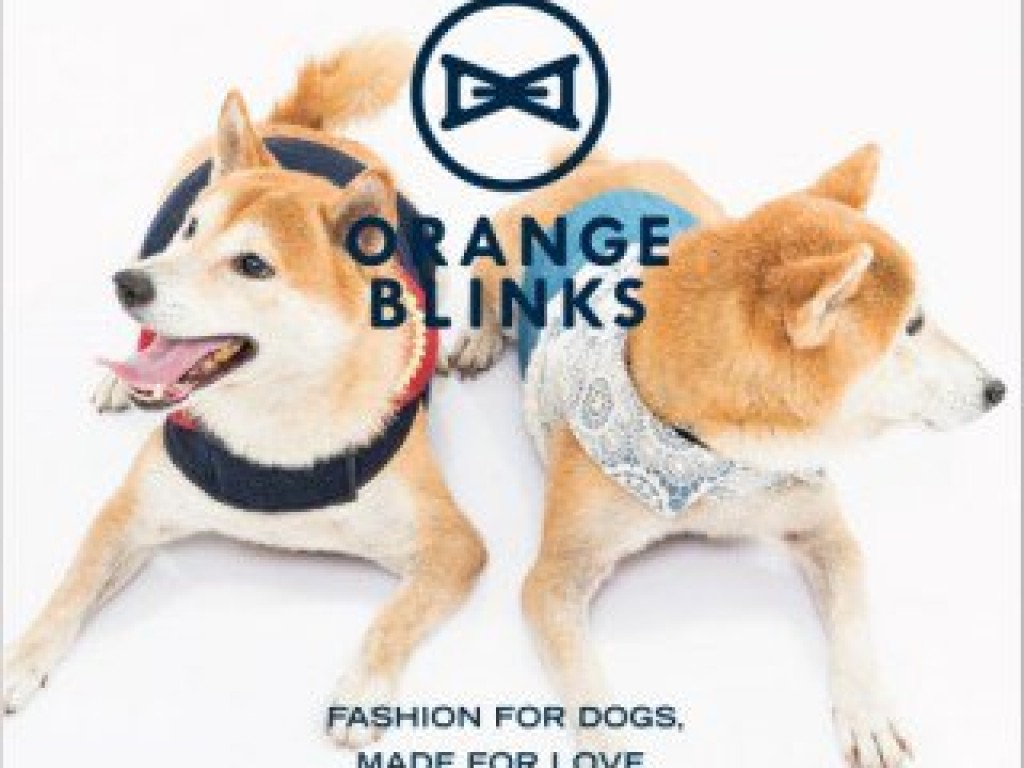 寵物胸背衣套組 Orange Blinks Pets Harness