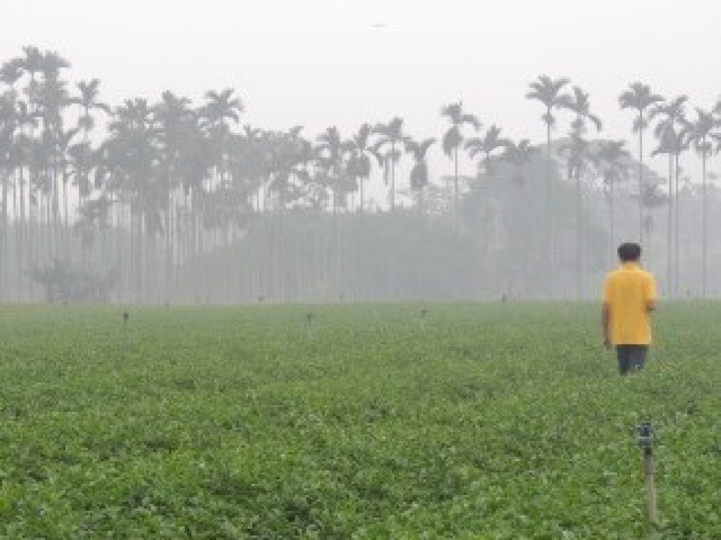 透明農夫-致力於茶葉生產線初步透明化